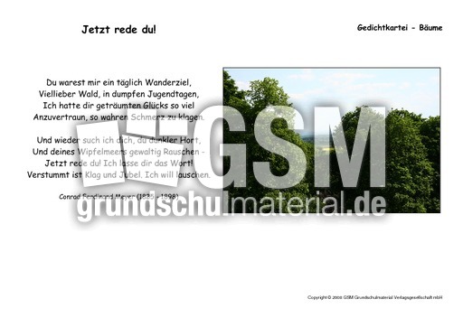 Jetzt rede du-Meyer.pdf